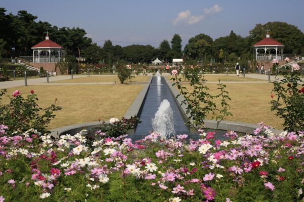 敷島公園・ばら園